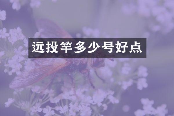 远投竿多少号好点