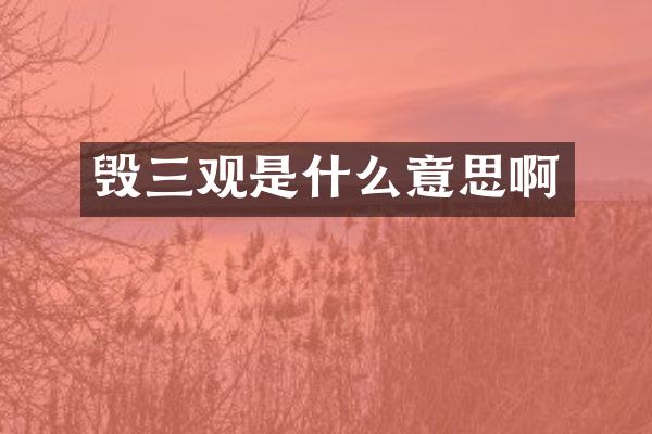 毁三观是什么意思啊