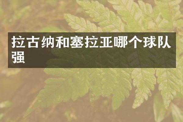 拉古纳和塞拉亚哪个球队强