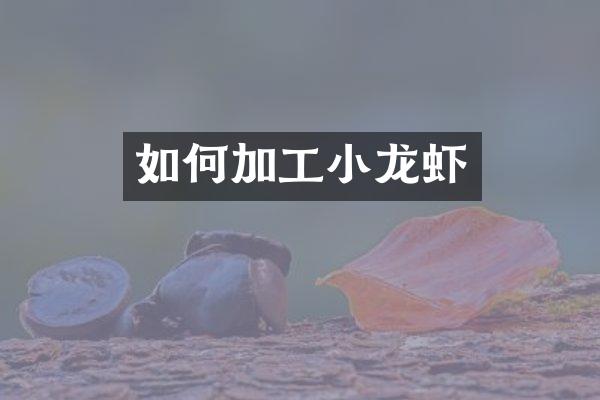 如何加工小龙虾