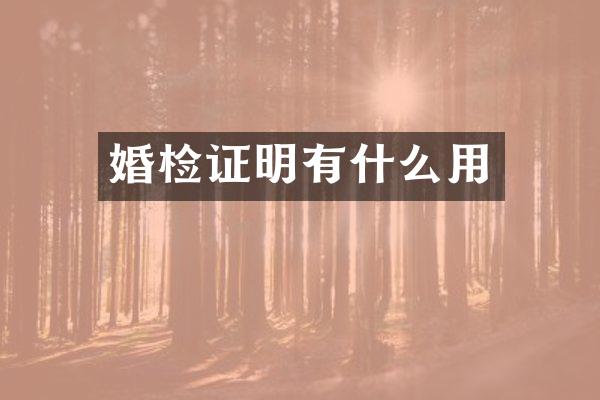 证明有什么用