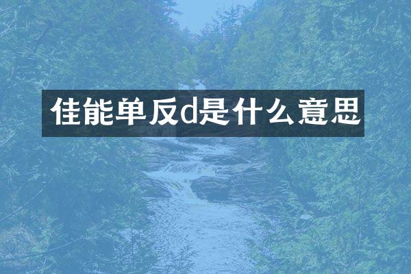 佳能单反d是什么意思