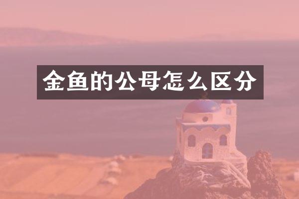 金鱼的公母怎么区分