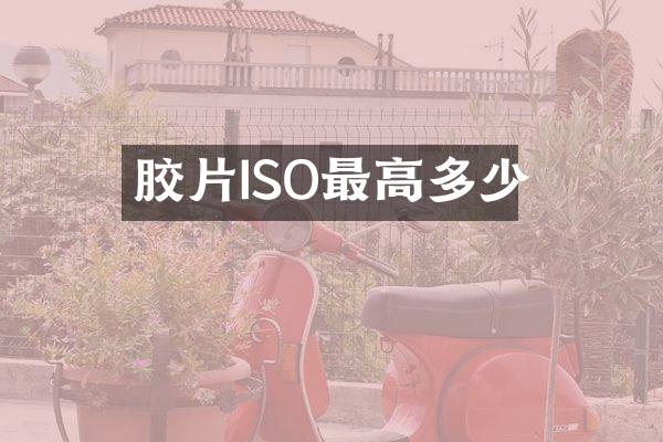 胶片ISO最高多少