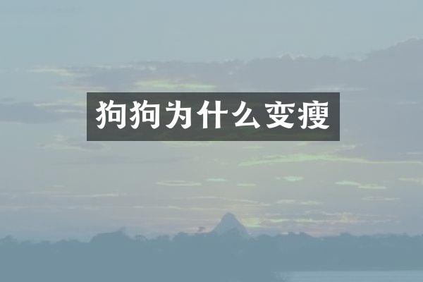 狗狗为什么变瘦