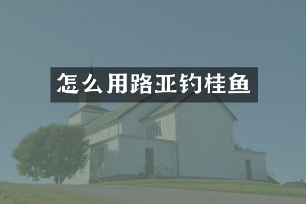 怎么用路亚钓桂鱼