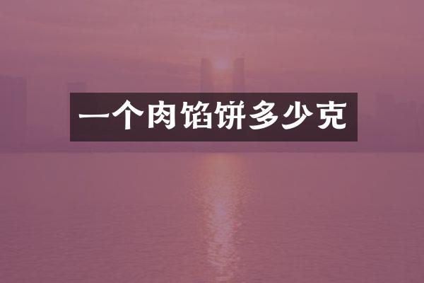 一个肉馅饼多少克