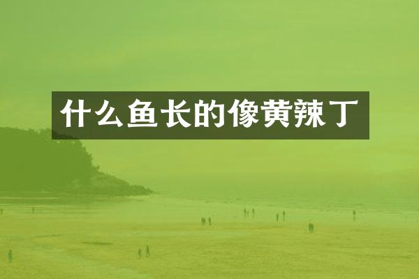 什么鱼长的像黄辣丁