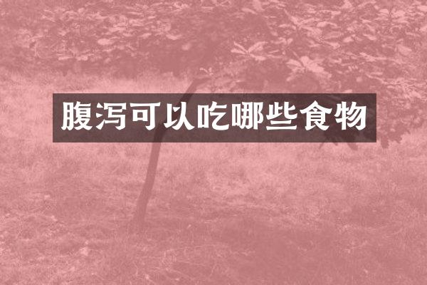 腹泻可以吃哪些食物