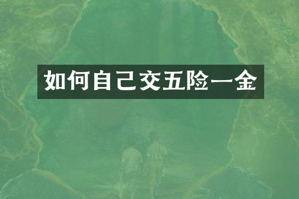 如何自己交五险一金