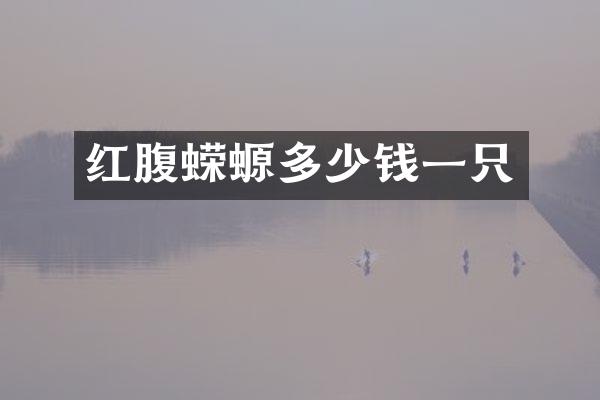 红腹蝾螈多少钱一只