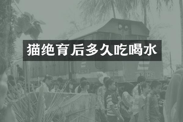 猫绝育后多久吃喝水