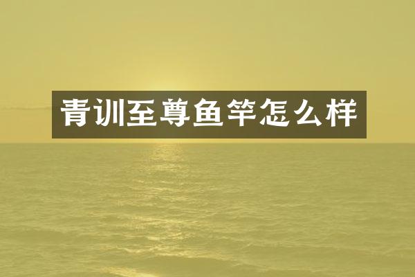 青训至尊鱼竿怎么样