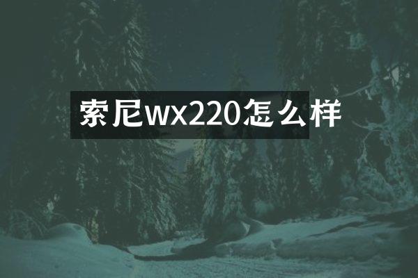 wx220怎么样