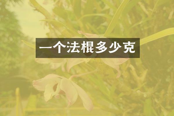 一个法棍多少克