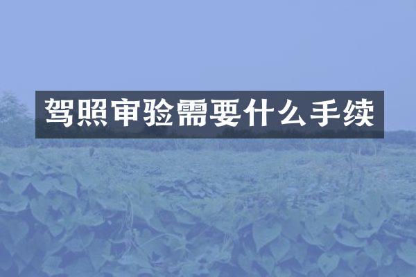 驾照审验需要什么手续