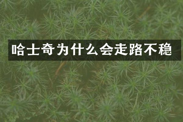 哈士奇为什么会走路不稳