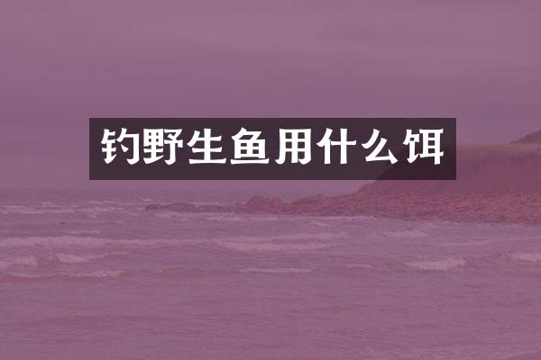 钓野生鱼用什么饵