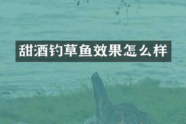 甜酒钓草鱼效果怎么样