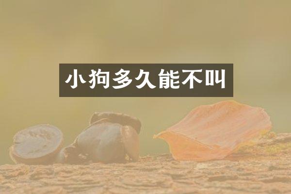 小狗多久能不叫