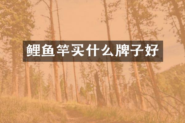 鲤鱼竿买什么牌子好