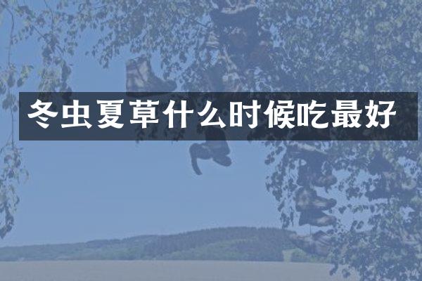 冬虫夏草什么时候吃最好