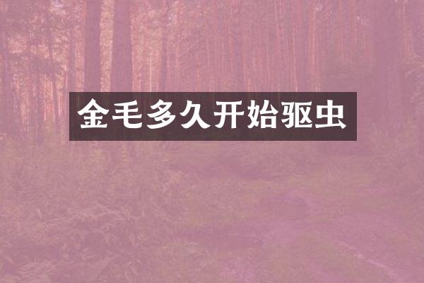 金毛多久开始驱虫