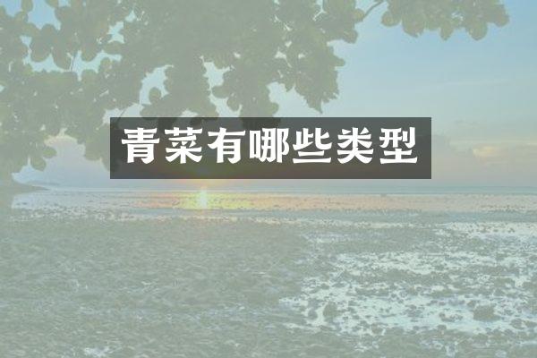 青菜有哪些类型
