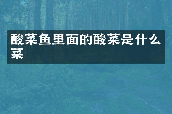酸菜鱼里面的酸菜是什么菜