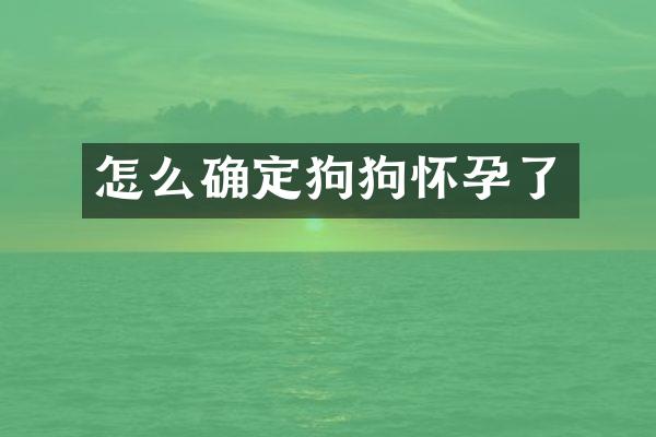 怎么确定狗狗怀孕了