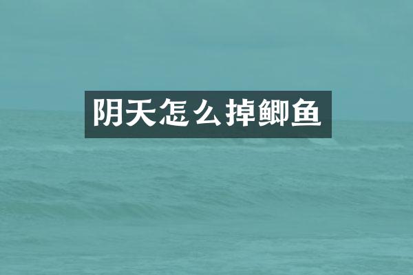 阴天怎么掉鲫鱼