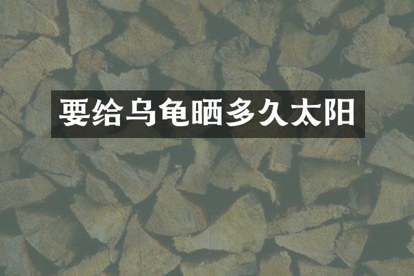 要给乌龟晒多久太阳