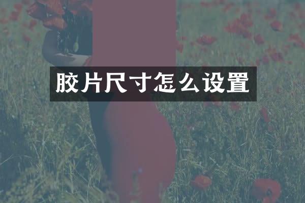 胶片尺寸怎么设置