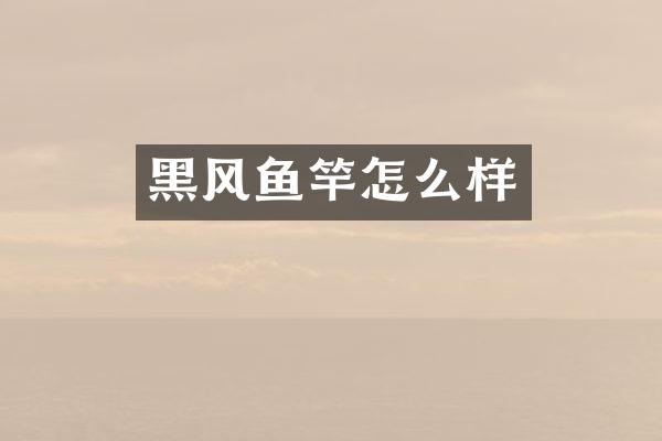 黑风鱼竿怎么样