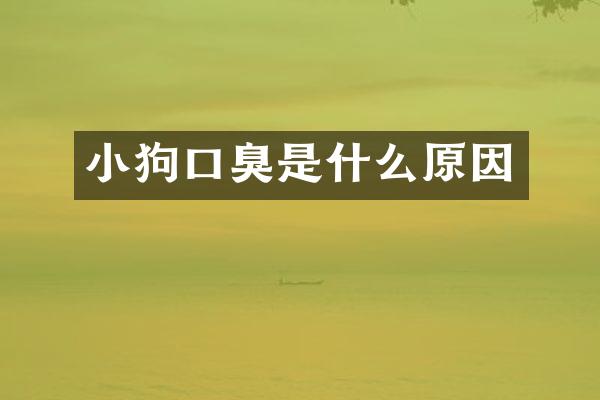 小狗口臭是什么原因