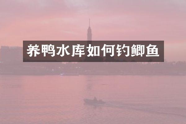 养鸭水库如何钓鲫鱼