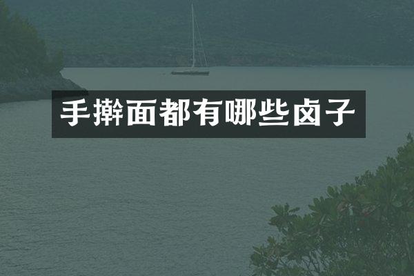 手擀面都有哪些卤子