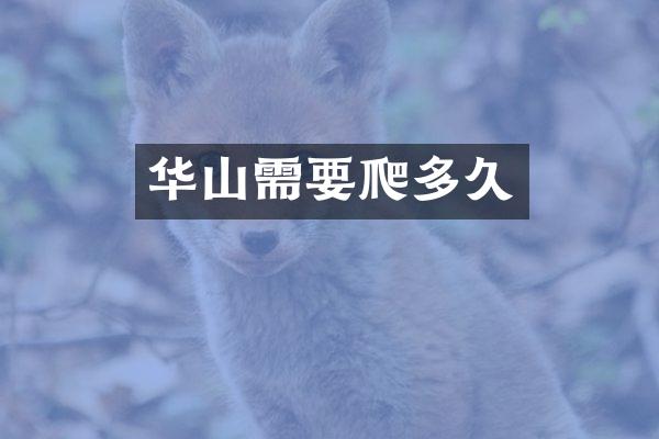 华山需要爬多久