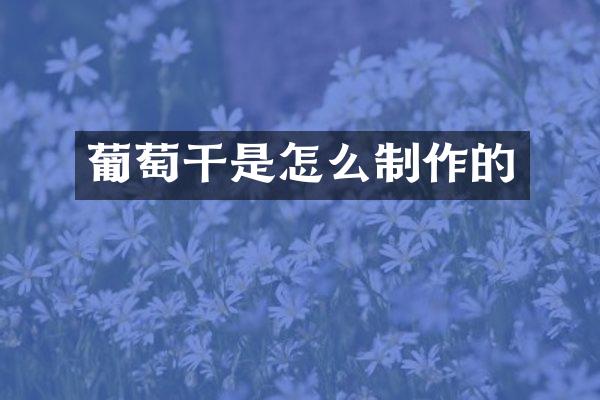 葡萄干是怎么制作的