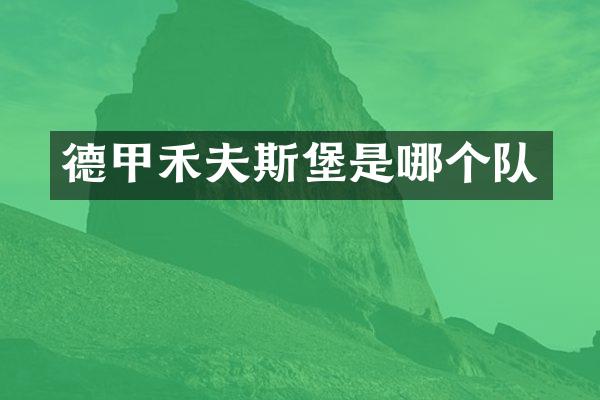 德甲禾夫斯堡是哪个队