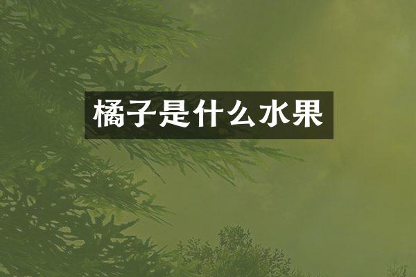 橘子是什么水果