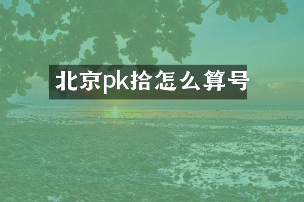 北京pk拾怎么算号
