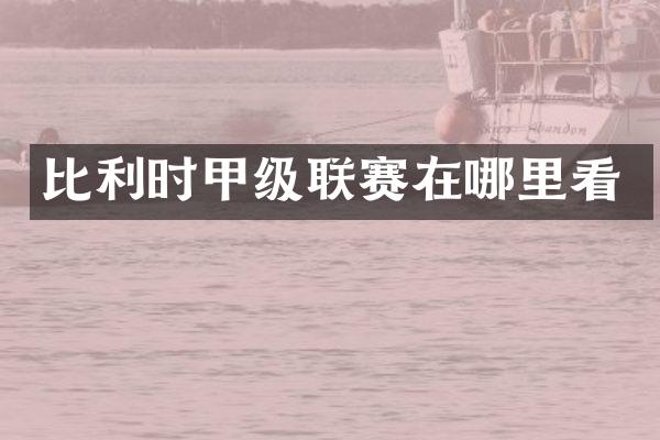 比利时甲级联赛在哪里看