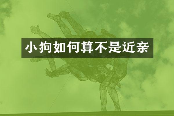 小狗如何算不是近亲