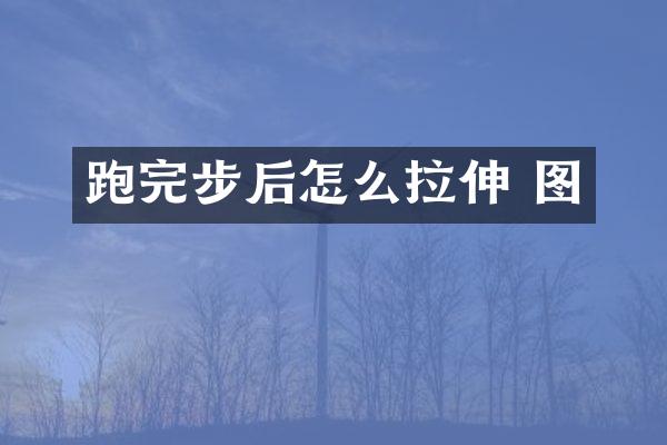 跑完步后怎么拉伸 图