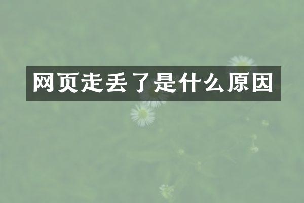 网页走丢了是什么原因