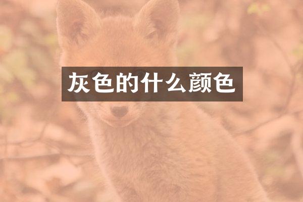 灰色的什么颜色