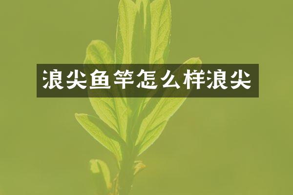 浪尖鱼竿怎么样浪尖