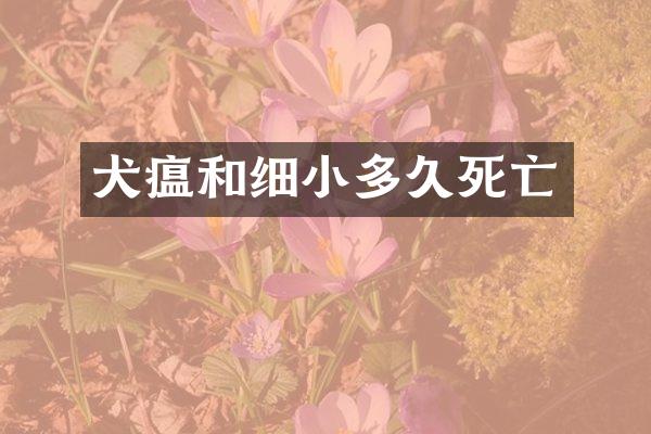 犬瘟和细小多久死亡