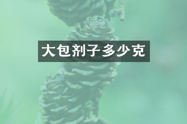 大包剂子多少克